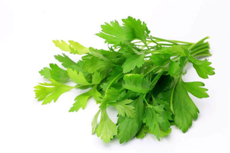 Produce - Herbs - Ital Parsley